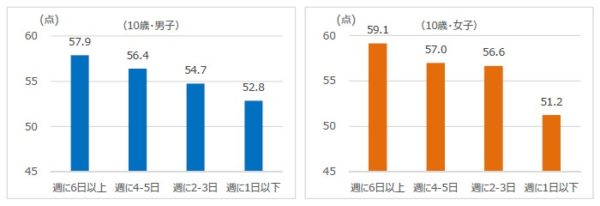 体力、運動能力調査結果の分析