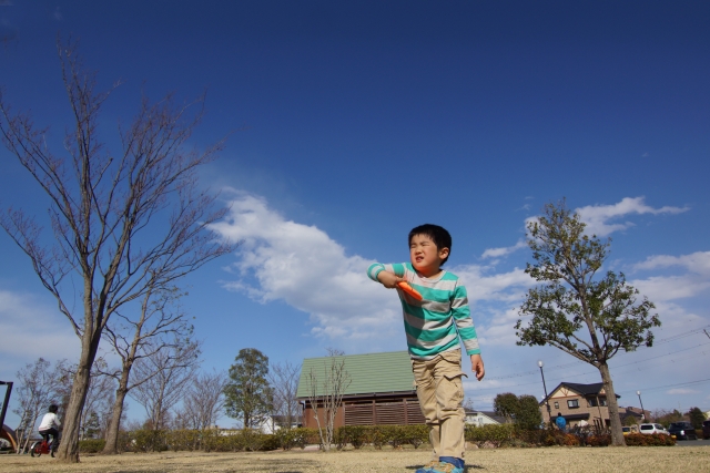 意外とわからない 一から始めるフリスビーの投げ方 取り方 遊び方５選 にじいろkids 体操labo