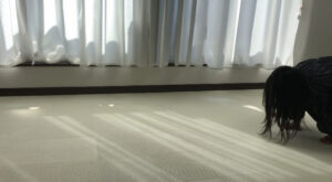 床で跳び箱をしている女の子