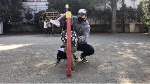 鉄棒のこうもりで着地をする女の子