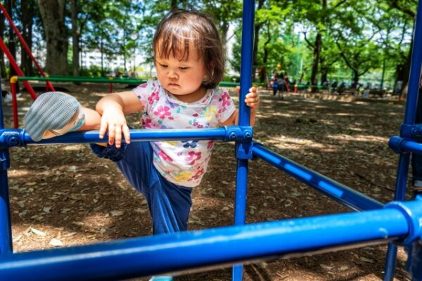 小さい子どもがジャングルジムに登っている