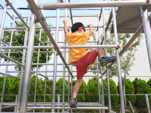 ジャングルジムで遊ぶ男の子