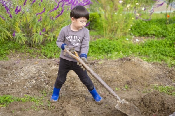 シャベルで畑を耕している男の子