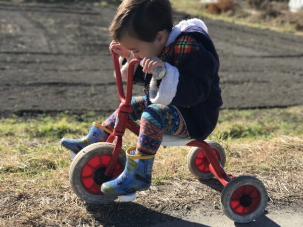 三輪車に乗っている子供